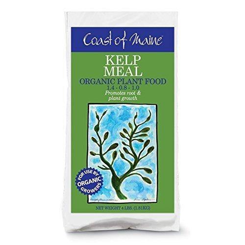 Nutrients, Additives & Solutions - Coast of Maine Kelp Meal, All Purpose Organic Plant Food - 609853000702- Gardin Warehouse